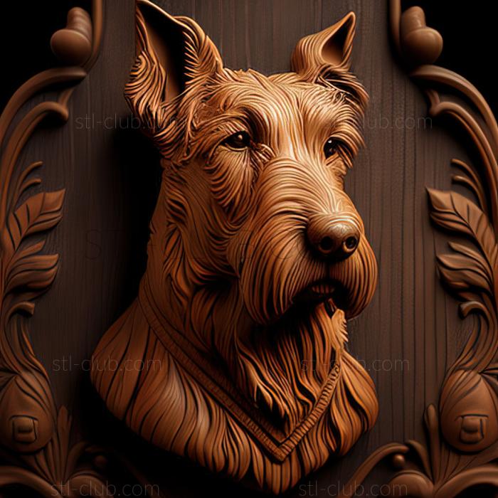 st Old English Terrier dog